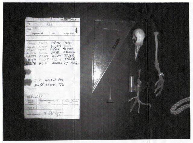 Βρετανοί ειδικοί αδυνατούν να αποκρυπτογραφήσουν κώδικα από τον Β’ Παγκόσμιο Πόλεμο